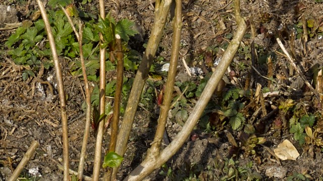 Pavilion Gateway Tilt Adjustment