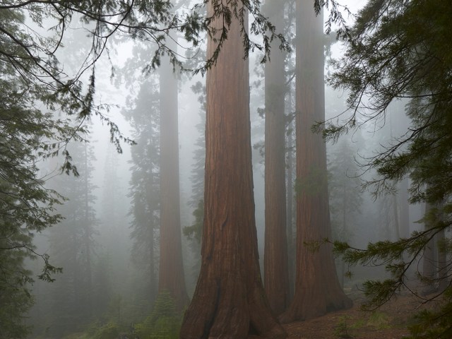 Yosemite National Park 1 © Joe Cornish Photography